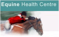 Horse Walkers from Equine Health Centre